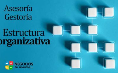 Estructura organizativa de una asesoría gestoría: roles, responsabilidades y departamentos clave.
