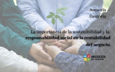 La importancia de la sostenibilidad y la responsabilidad social en la rentabilidad del negocio.